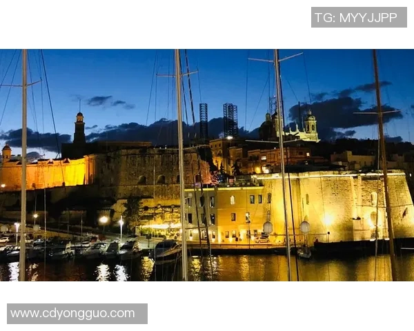 乌克兰与马耳他精彩对决直播全程回顾与分析